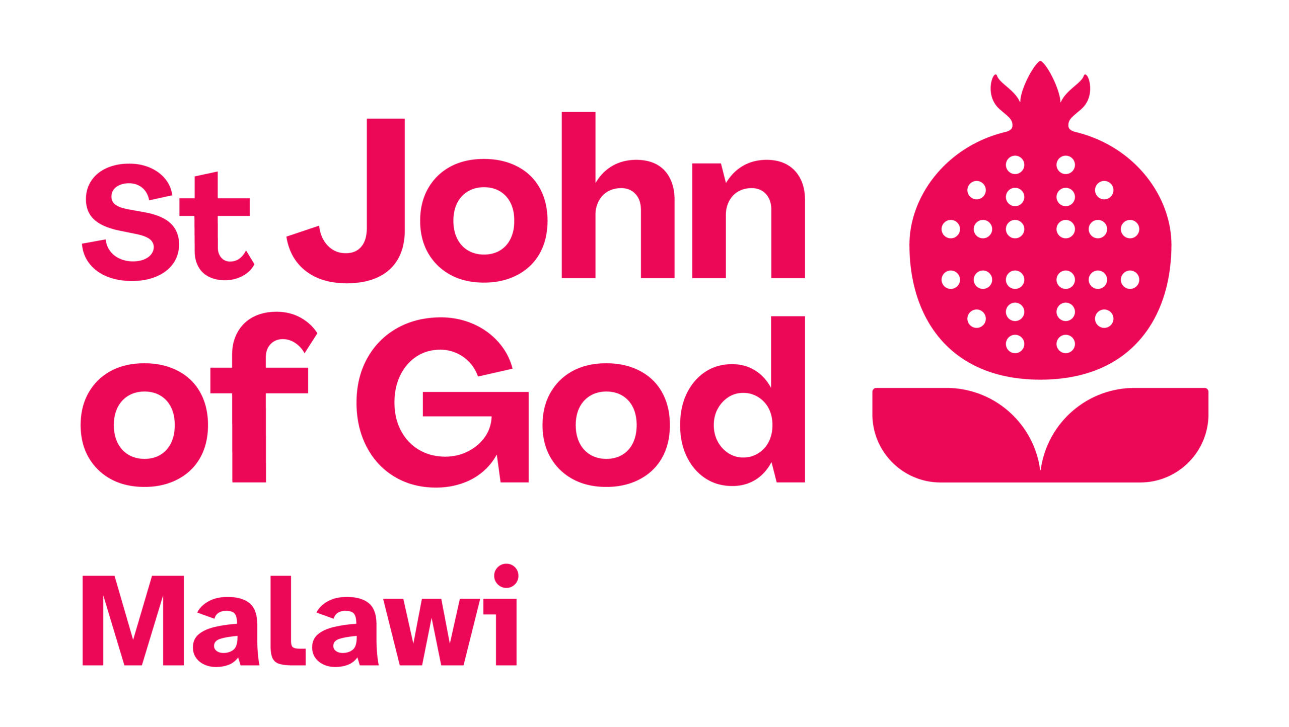 ST John of God Hospitaller Services